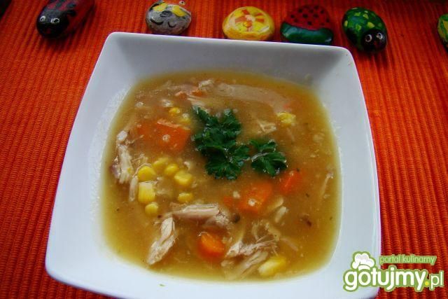 Warzywno-drobiowy gulasz 