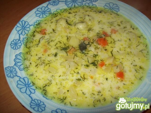 Wegańska kalafiorowa z koperkiem