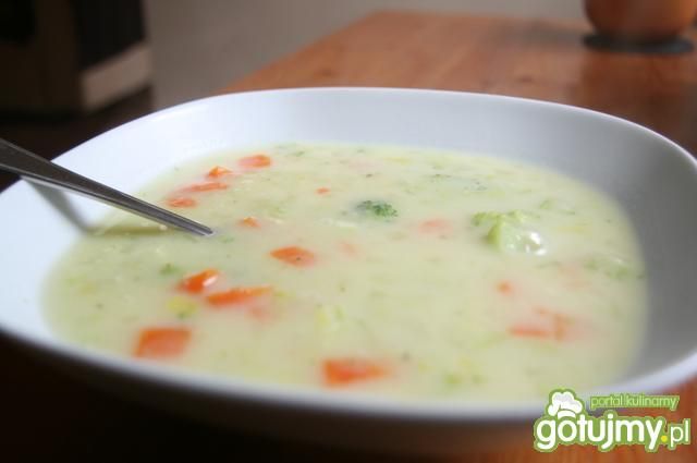 Wegetariańska zupa jarzynowa Wegetariańska zupa jarzynowa