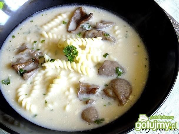 Wegetariańska zupa na maślakach Wegetariańska zupa na maślakach