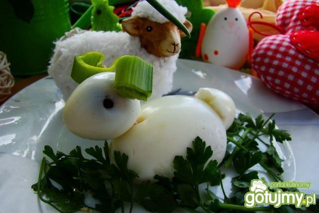 Wielkanocny baranek z jajek  Wielkanocny baranek z jajek