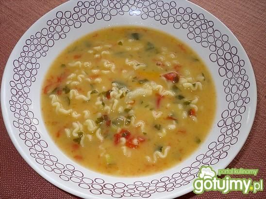 Wielowarzywna zupa z makaronem Mysiuni Wielowarzywna zupa z makaronem Mysiuni