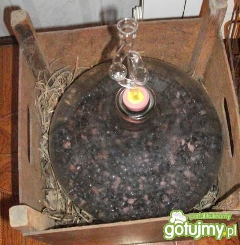 Wino porzeczkowe Wino porzeczkowe