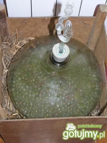 Wino z białych winogron