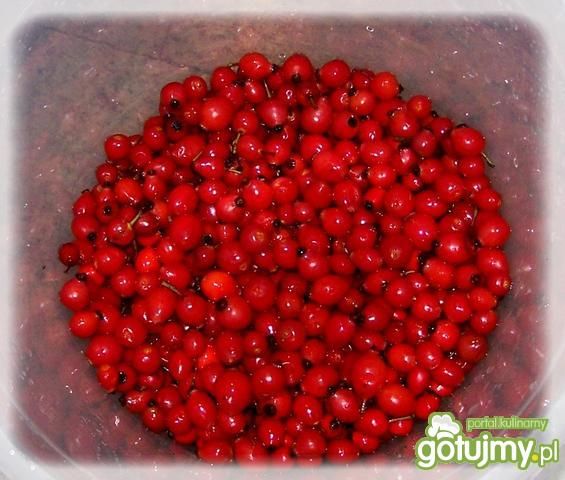 Wino z dzikiej róży Wino z dzikiej róży