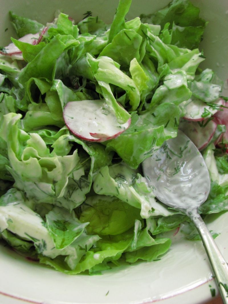 Wiosenna sałata z rzodkiewką w sosie koperkowym