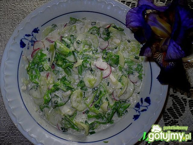 Wiosenna sałatka do obiadu Wiosenna sałatka do obiadu