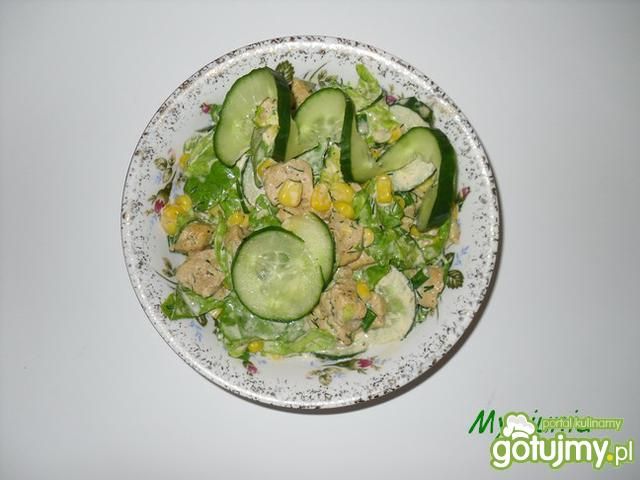 Wiosenna sałatka gyros  Wiosenna sałatka gyros