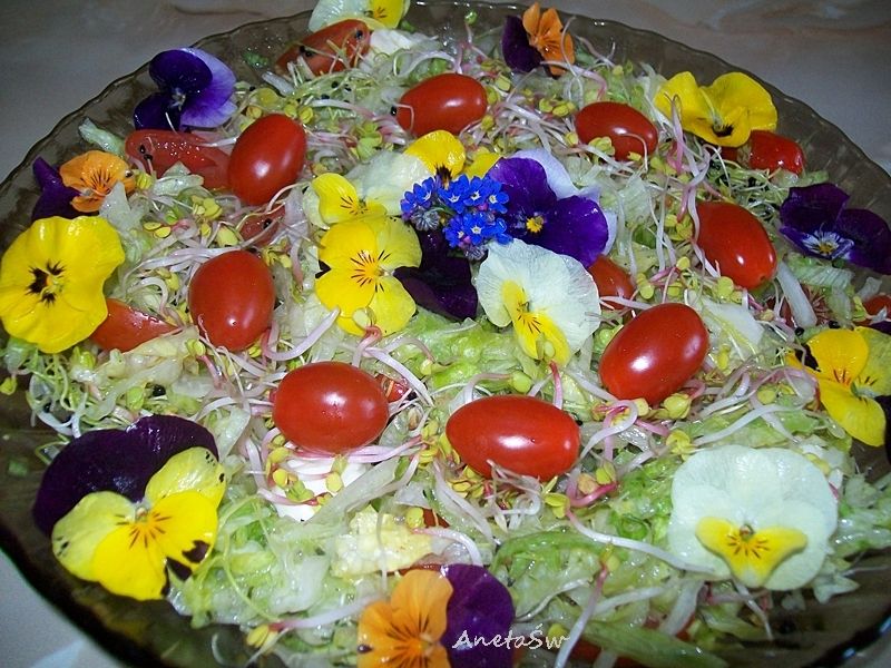 Wiosenna sałatka z bratkami Wiosenna sałatka z bratkami