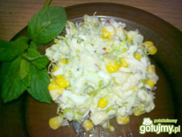 Wiosenna sałatka z nowalijkami Wiosenna sałatka z nowalijkami