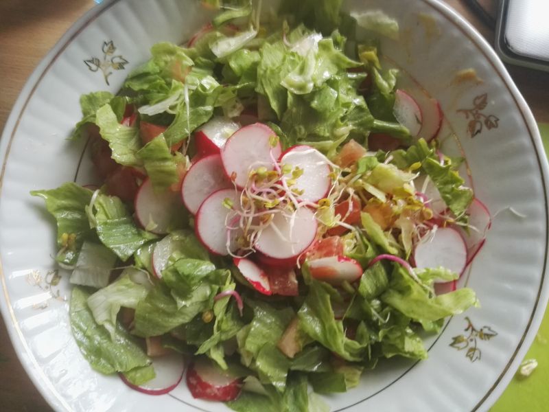 Wiosenna sałatka z rzodkiewką