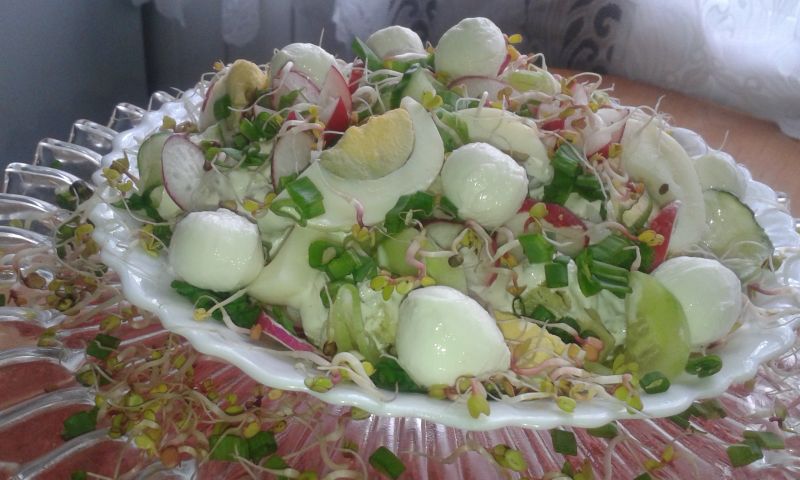 Wiosenna sałatka z rzodkiewką,mozzarellą,jajkiem.. Wiosenna sałatka z rzodkiewką,mozzarellą,jajkiem..