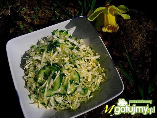 Wiosenna surówka do obiadu Mysiuni