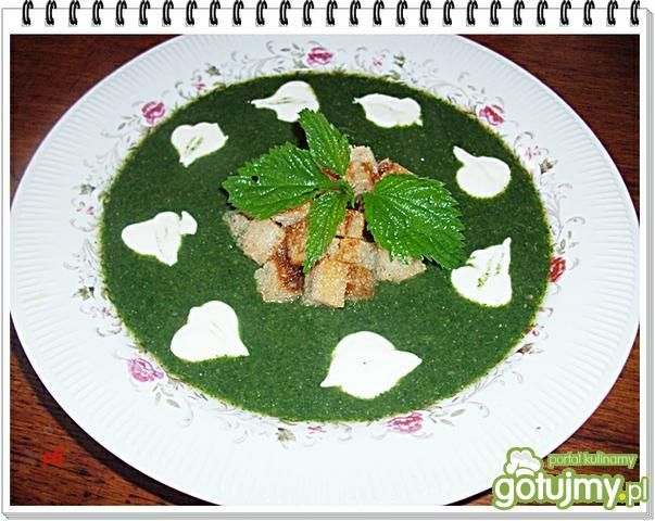 Wiosenna zupa Eli z pokrzyw