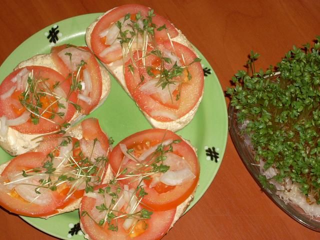 Wiosenne kanapki dla niejadków Wiosenne kanapki dla niejadków