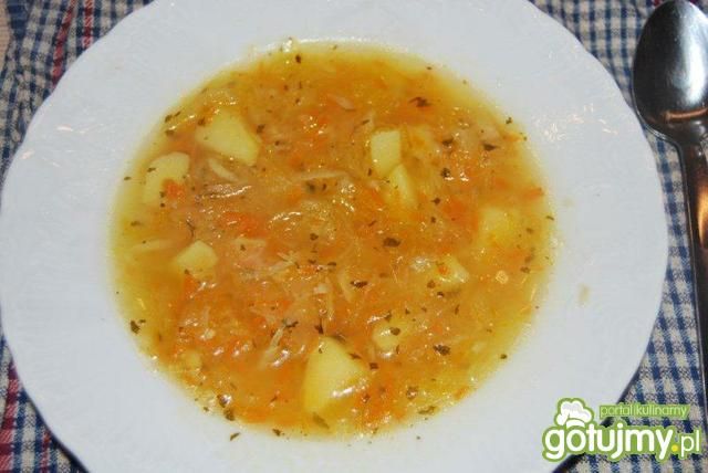 Wiosenny kapuśniaczek Wiosenny kapuśniaczek