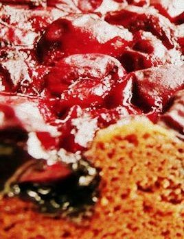 Wiśniak zakręconej   