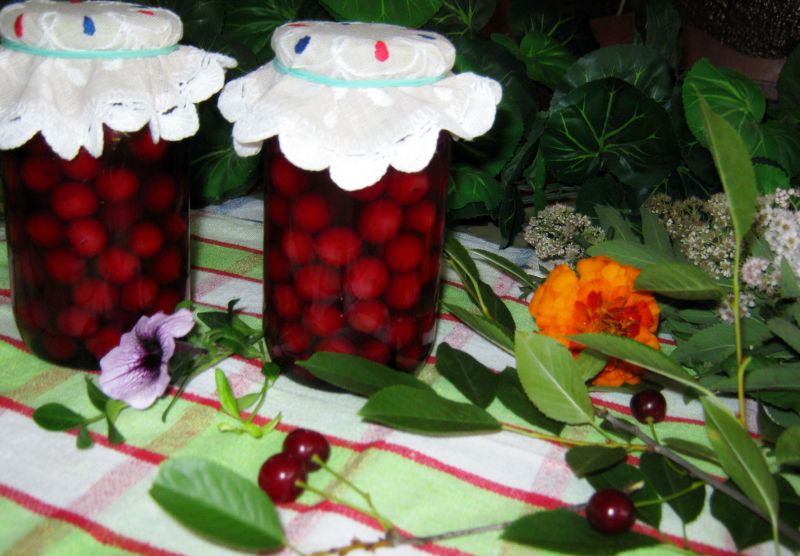 Wiśnie z pestką na kompot do słoika 