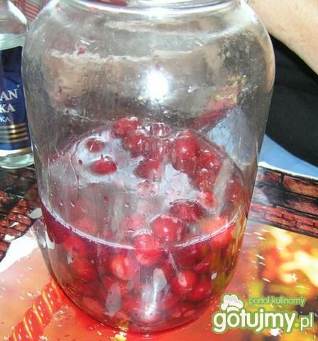 Wiśniówka I Wiśniówka I