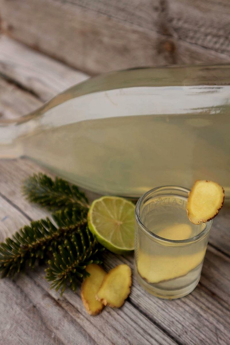 Wódka limonkowo-imbirowa