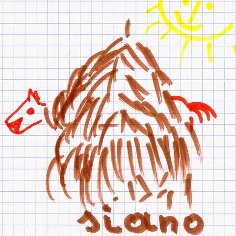 Wok na Nowy Chiński Rok czyli Koń w ...