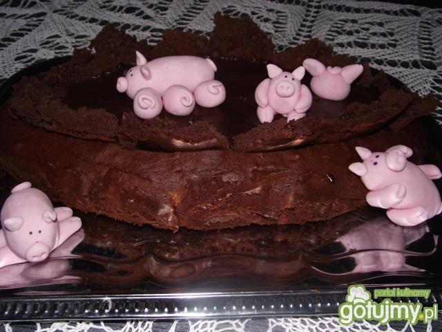 Wypas w czekoladowym błotku Wypas w czekoladowym błotku
