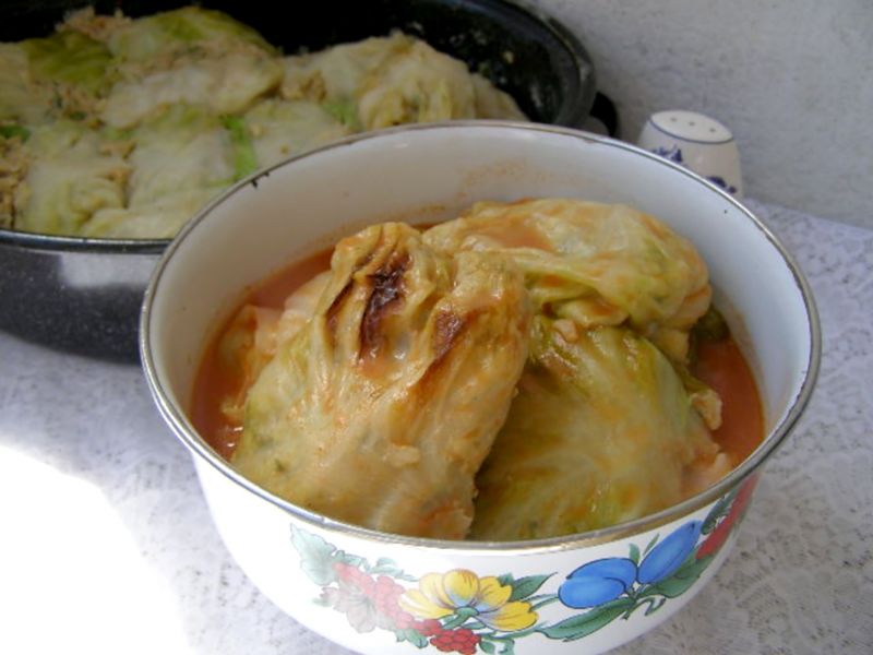 Z młodej kapusty gołąbki