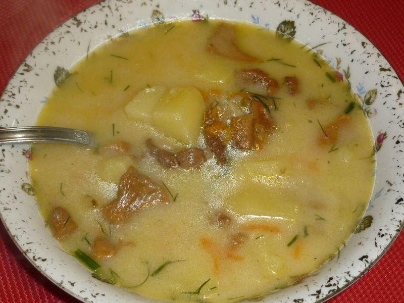 Zabielana zupa kurkowa