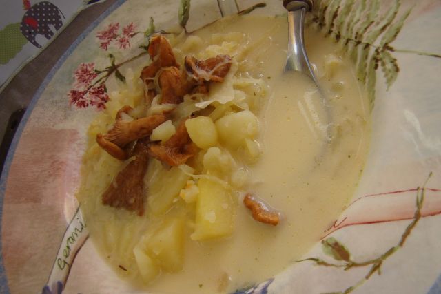 Zabielany kapuśniaczek z kurkami Zabielany kapuśniaczek z kurkami