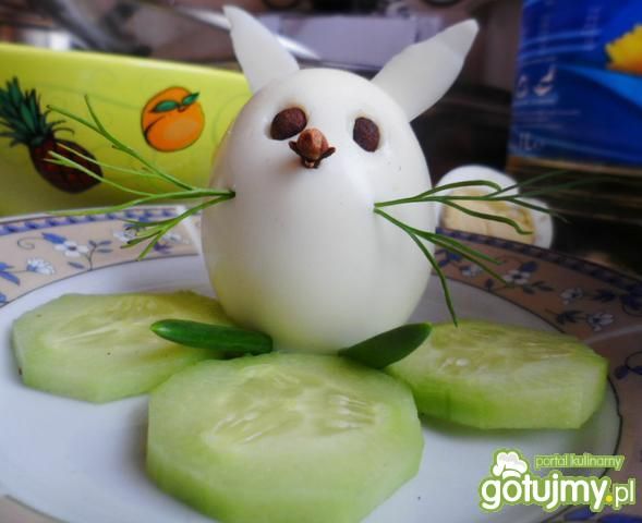 Zajączek z jajka Zajączek z jajka