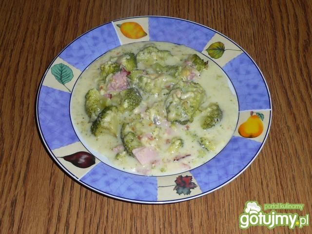 Zapiekanka z brokułami  Zapiekanka z brokułami