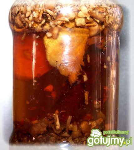 Zaprawa korzenna do orzechówki  Zaprawa korzenna do orzechówki