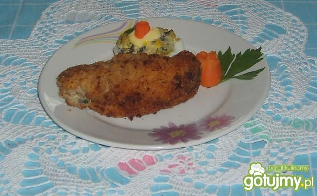 Zawijańce ze schabu