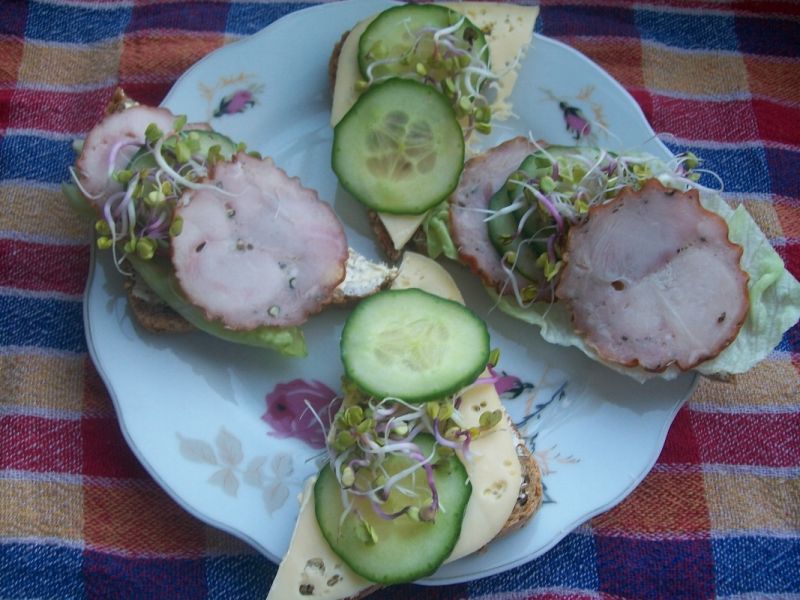 Zdrowe  kanapki Zdrowe  kanapki