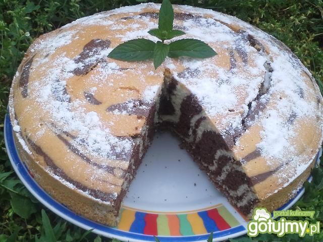 Zebra wg Danusia19671