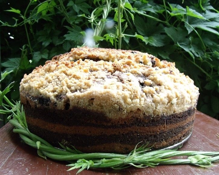 Zebra z jagodami Zebra z jagodami