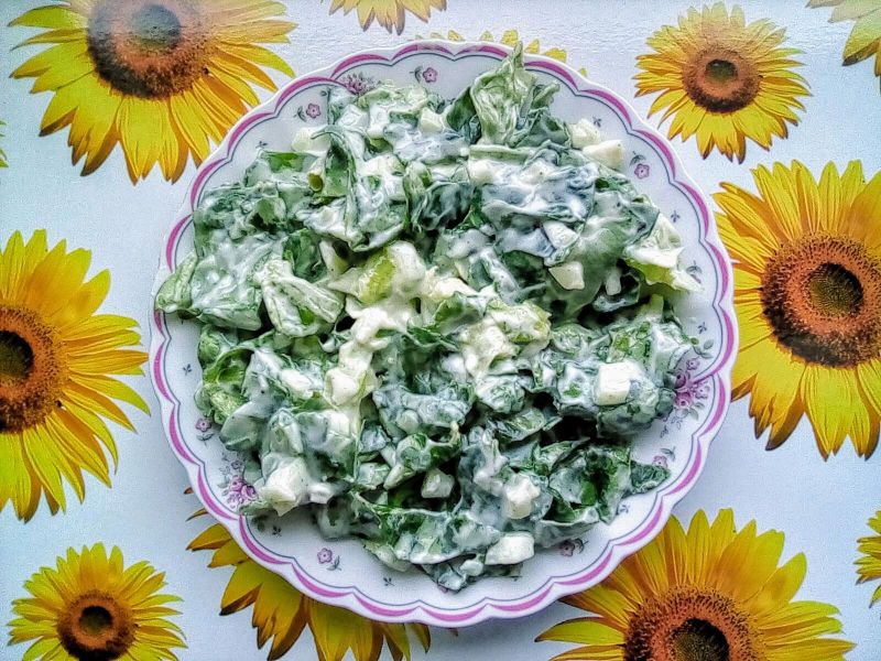 Zielona sałata do obiadu Zielona sałata do obiadu