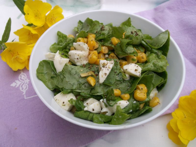 Zielona sałata z kukurydzą i serem mozzarella