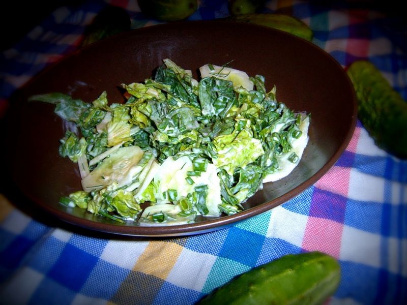 Zielona sałatka w stylu czeskim Zielona sałatka w stylu czeskim