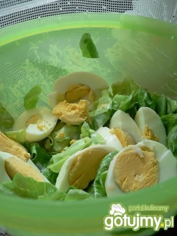 Zielona sałatka z jajkiem  Zielona sałatka z jajkiem