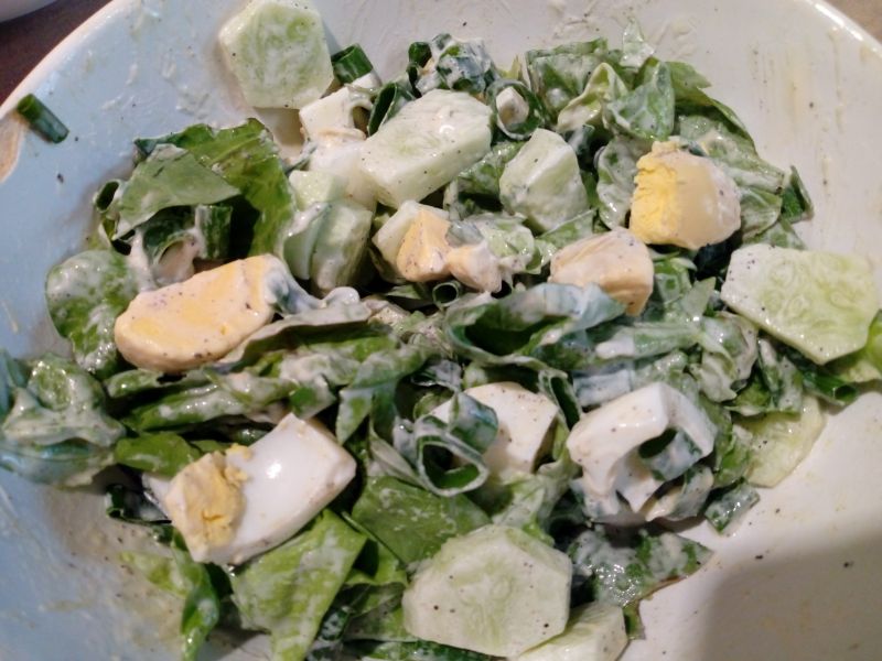 Zielona sałatka z jajkiem Zielona sałatka z jajkiem