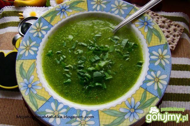 Zielona zupka cukiniowa