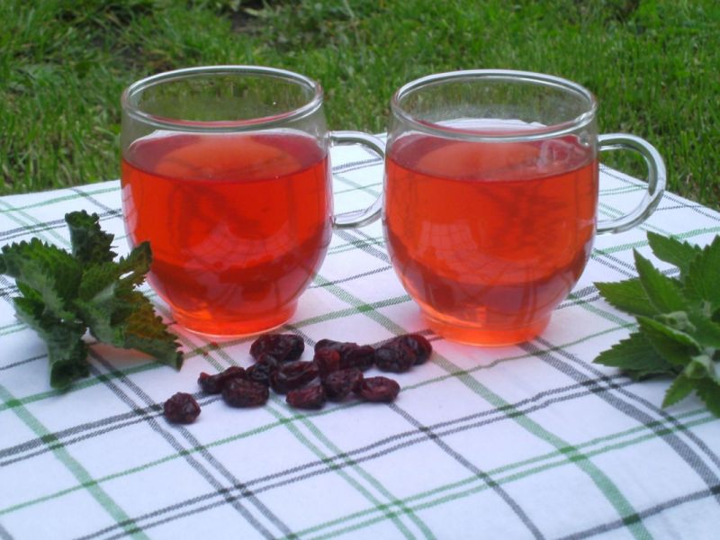 Ziołowa ice tea z żurawiną Ziołowa ice tea z żurawiną