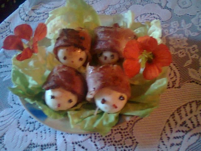 Żółwiki  Żółwiki