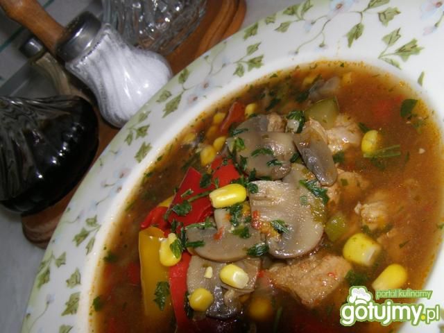 Zupa A'la Strogonow  Zupa A'la Strogonow