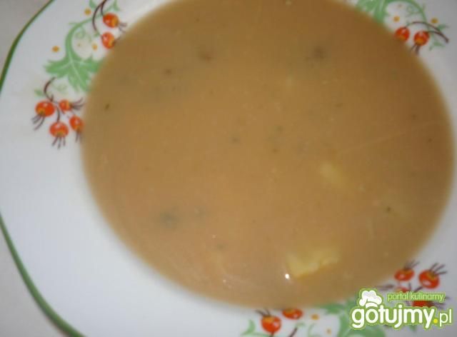 Zupa borowikowa Zupa borowikowa