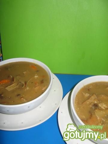 Zupa borowikowa Zupa borowikowa