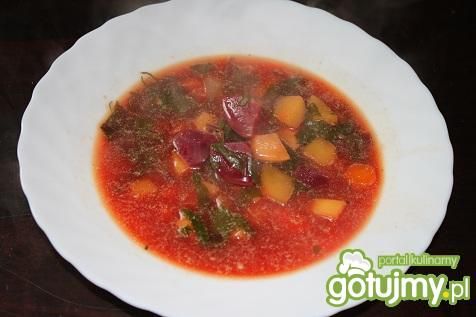 Zupa botwinkowa z jajkiem  Zupa botwinkowa z jajkiem