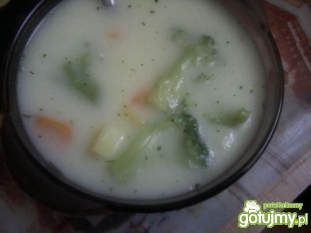 Zupa brokułowa wg ivon90