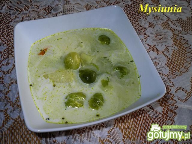 Zupa brukselkowa z tartą marchewką Zupa brukselkowa z tartą marchewką